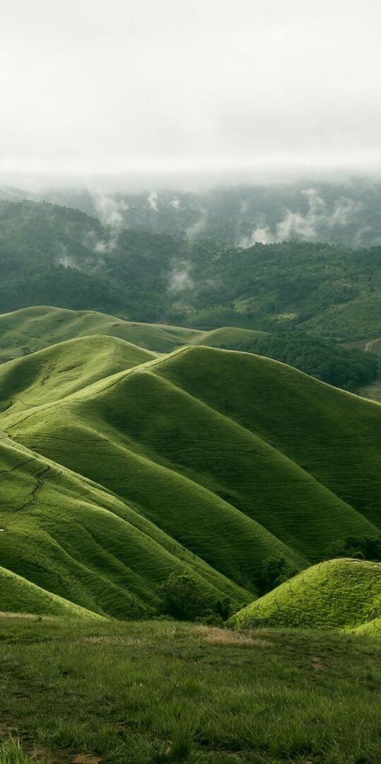 Landscape Photography