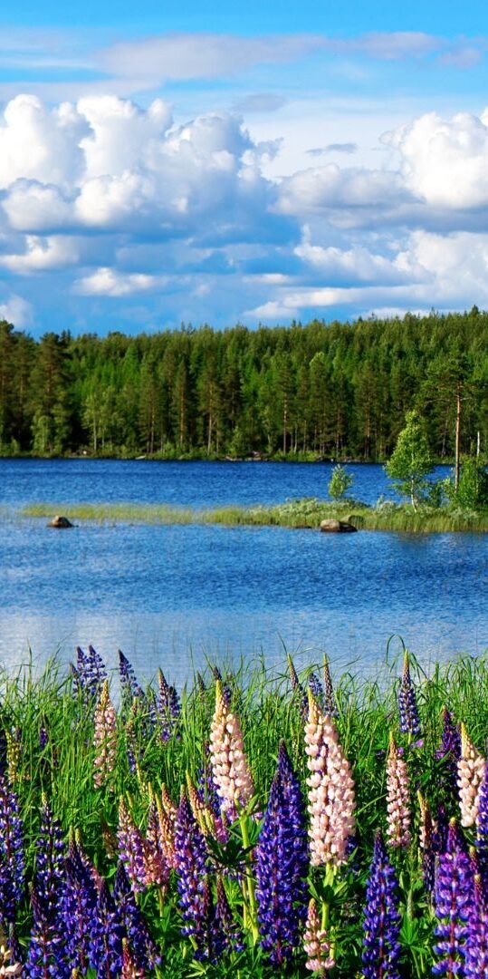 Landscape Photography