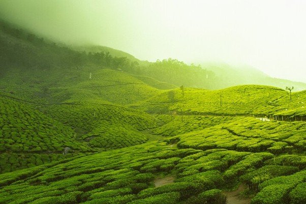 Cool Mist in April Munnar Ooty