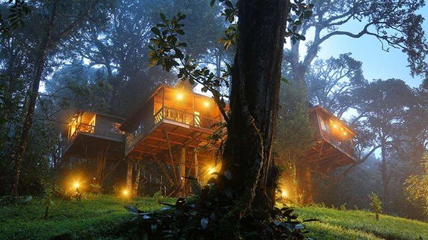 Kalari Rasayana - Quiet Rejuvenation